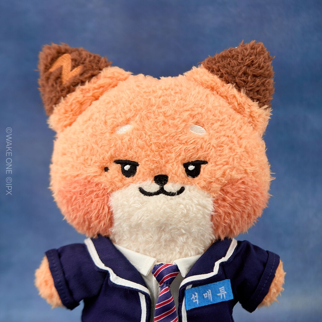 預訂 | ZB1 - Line Friends uniform zeroni