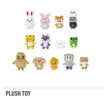 '現貨 - SVT｜MINITEEN OFFICIAL MERCH V2