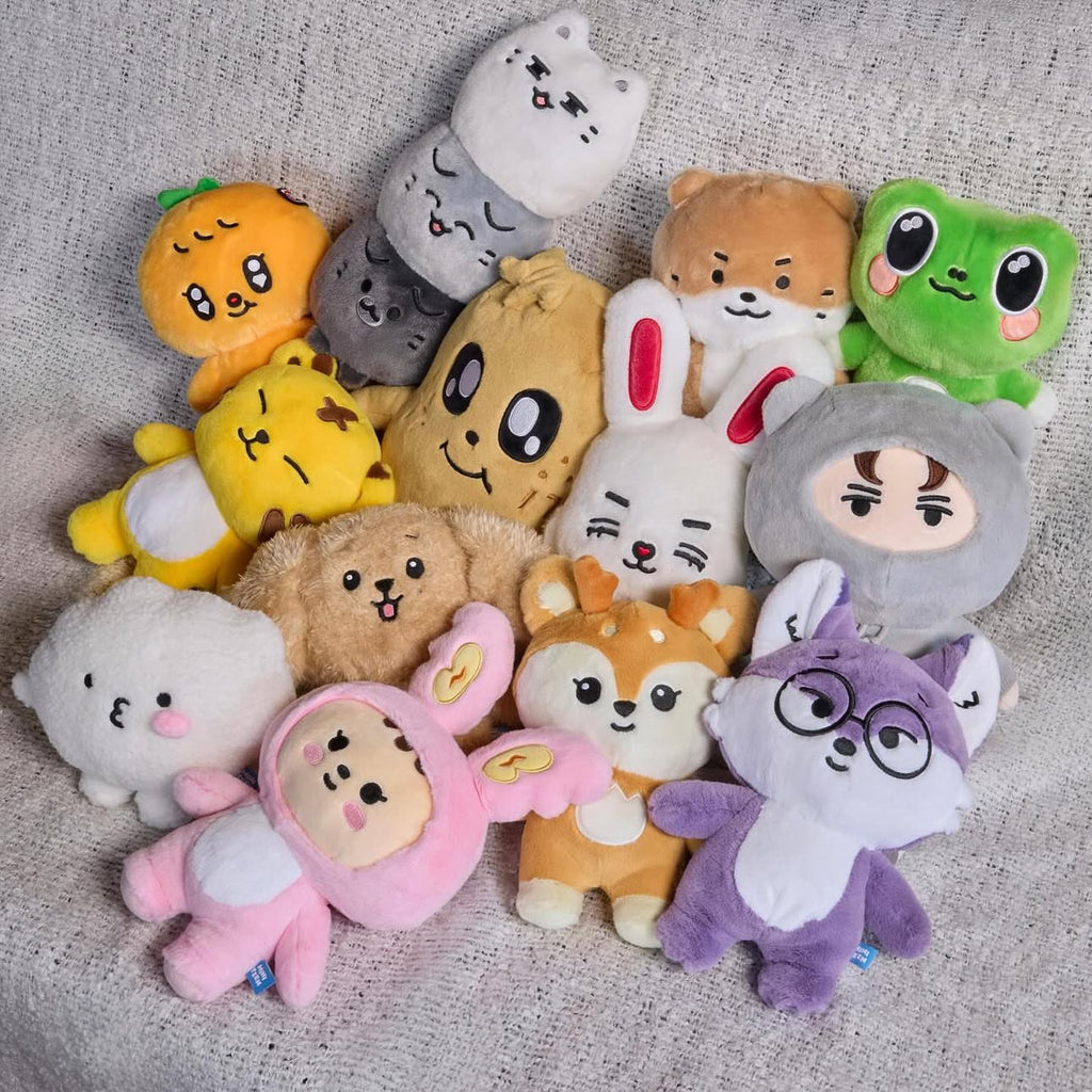 '現貨 - SVT｜MINITEEN OFFICIAL MERCH V2