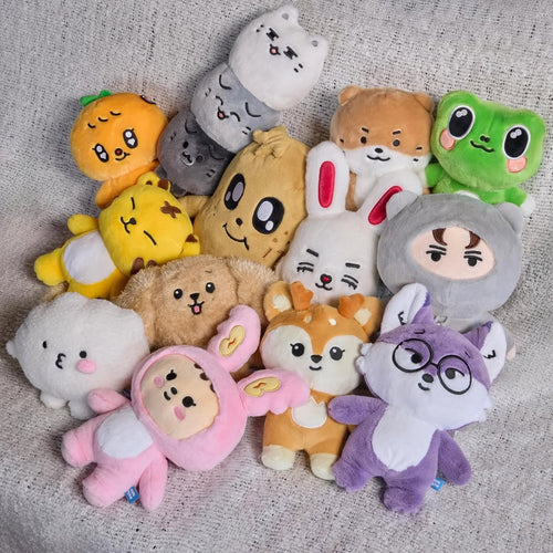 '現貨 - SVT｜MINITEEN OFFICIAL MERCH V2