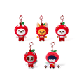 預訂｜TXT - 🍎 PPULBATU [Hey! APPUL] Merch