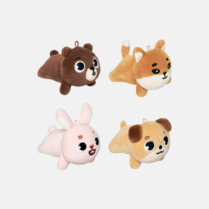 預訂｜Day6 - 2026 The DECADE