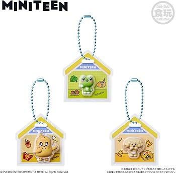 日本預訂｜MINITEEN 食玩