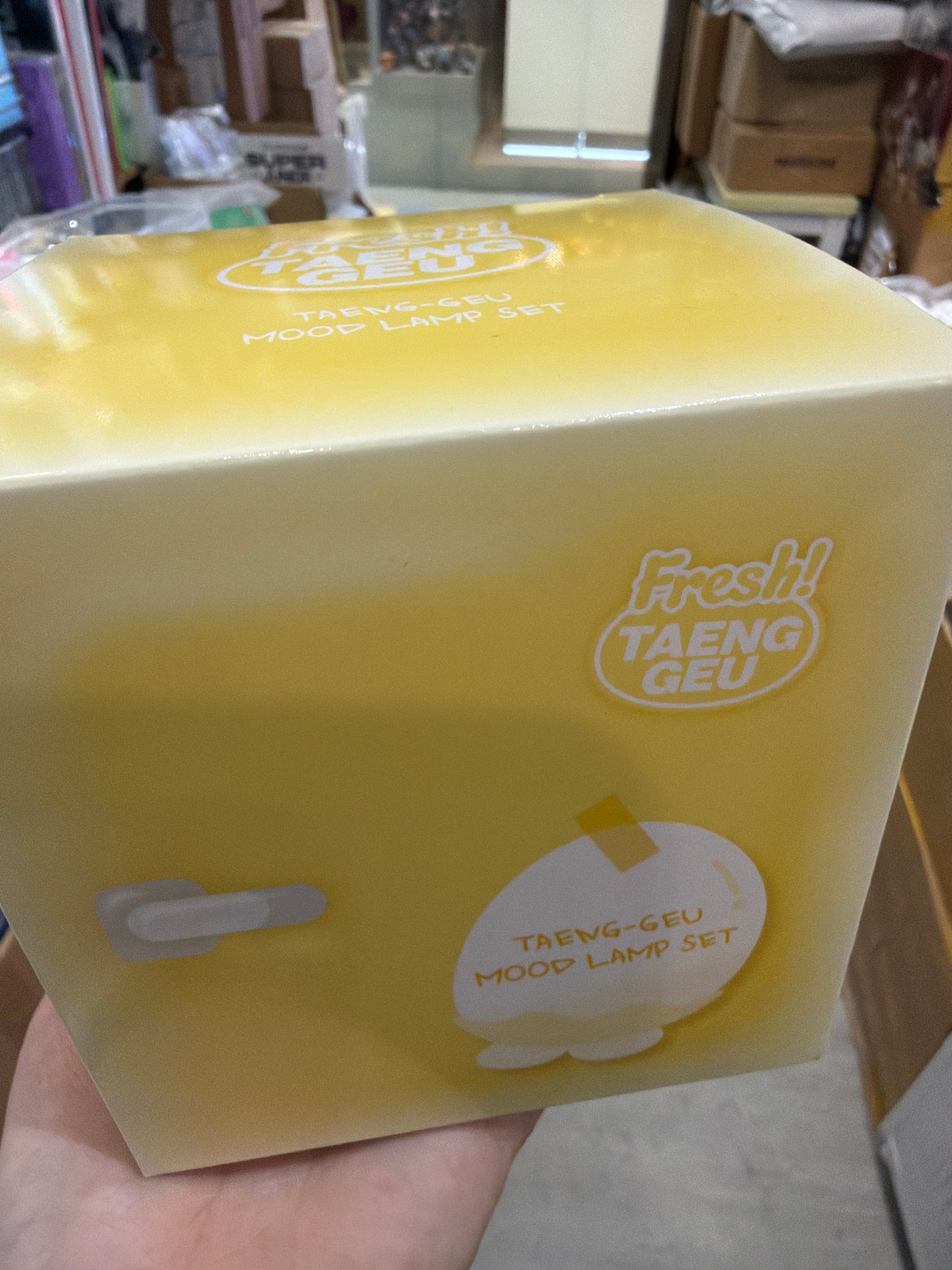 現貨｜Taeyeon - Official Merch