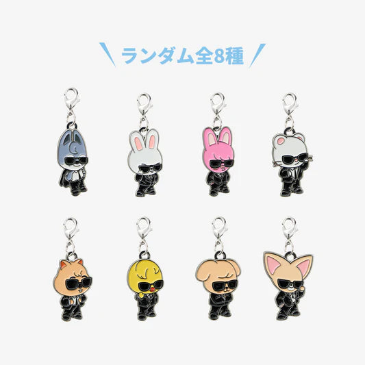 日本預訂｜Stray Kids World Tour ＜RUN IT JAPAN＞ OFFICIAL GOODS