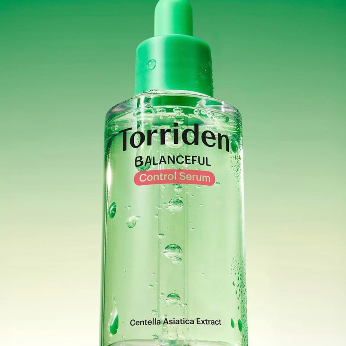 預訂｜CORTIS - Torriden代言