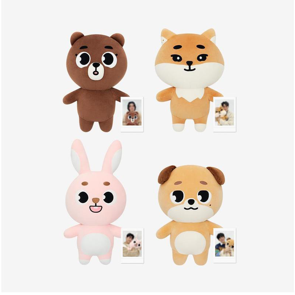 預訂｜Day6 - 2025/2026 OFFICIAL MERCH