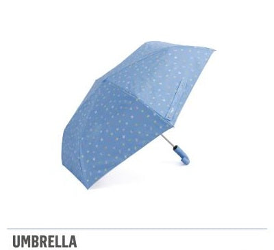 '現貨 - SVT｜MINITEEN OFFICIAL MERCH V2